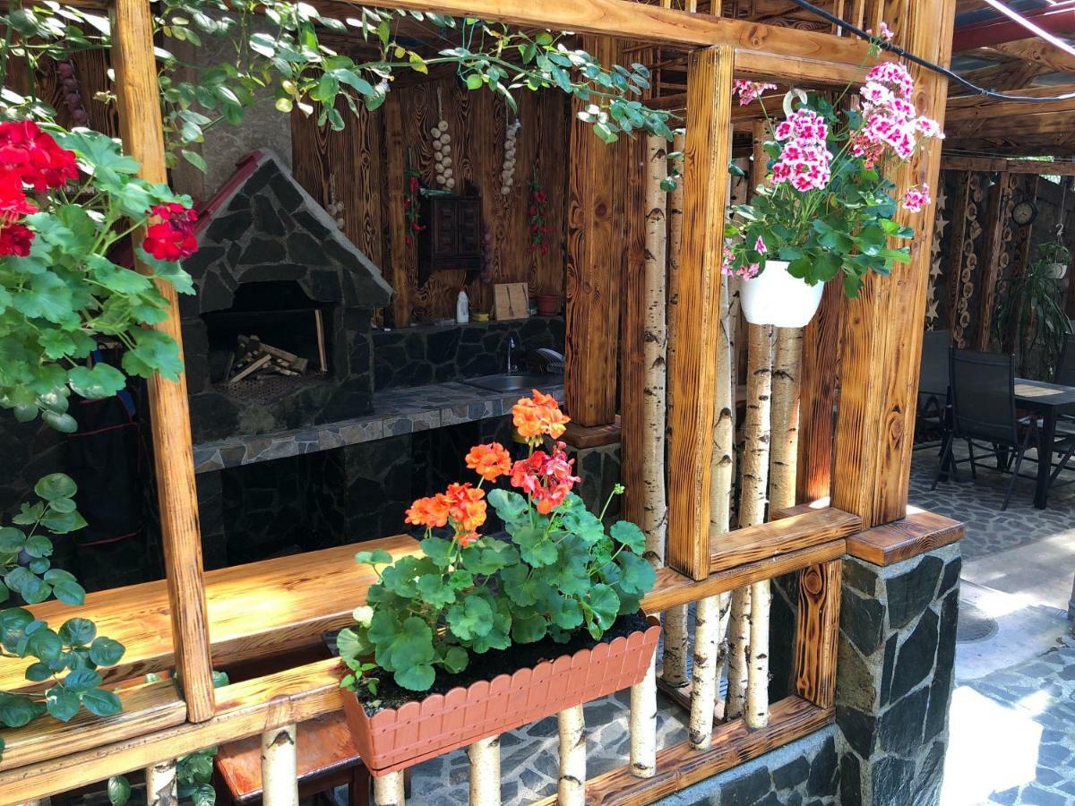 Hotel Casa Anina Esterno foto